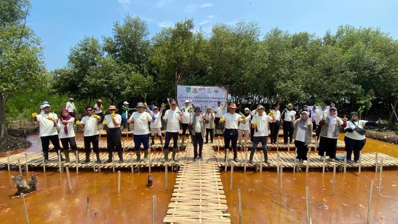 UNAS dan Kedutaan Besar Malaysia Tanam 10.000 Bibit Mangrove di Banten